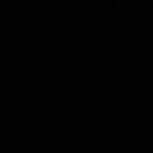 Meet your Posher, Emely